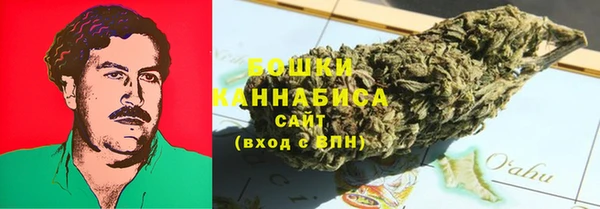 mdpv Ельня