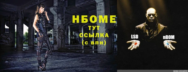 mdpv Ельня