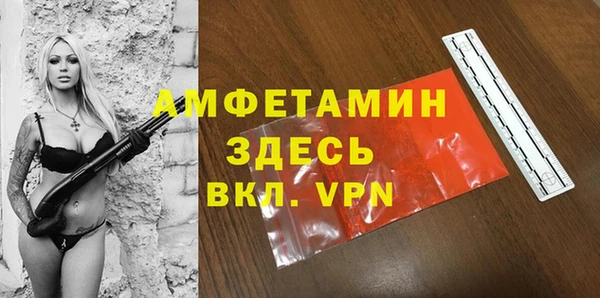 mdpv Ельня