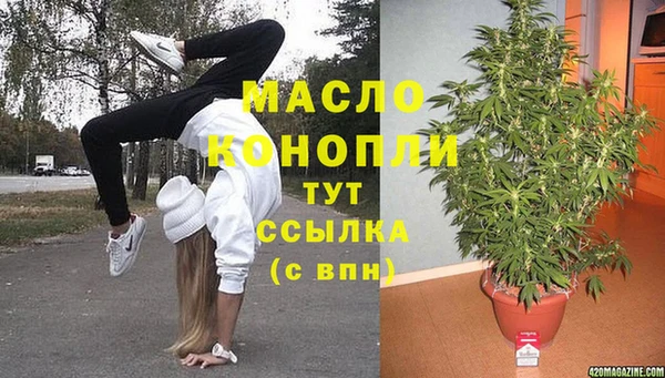 mdpv Ельня