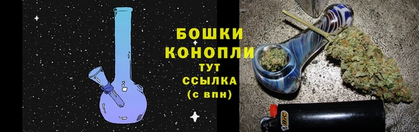 mdpv Ельня