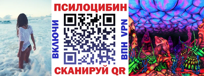 Галлюциногенные грибы GOLDEN TEACHER  Купить  Нея 